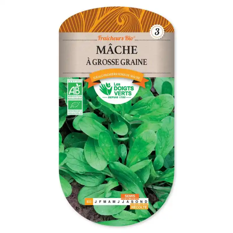 Mache à grosse graine bio – sachet de graines 3g – les doigts verts Dernier Modèle