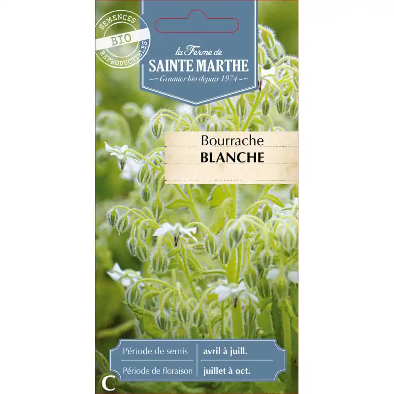 Bourrache blanche bio de la ferme sainte marthe pour une beauté naturelle – graines à semer Livraison Express