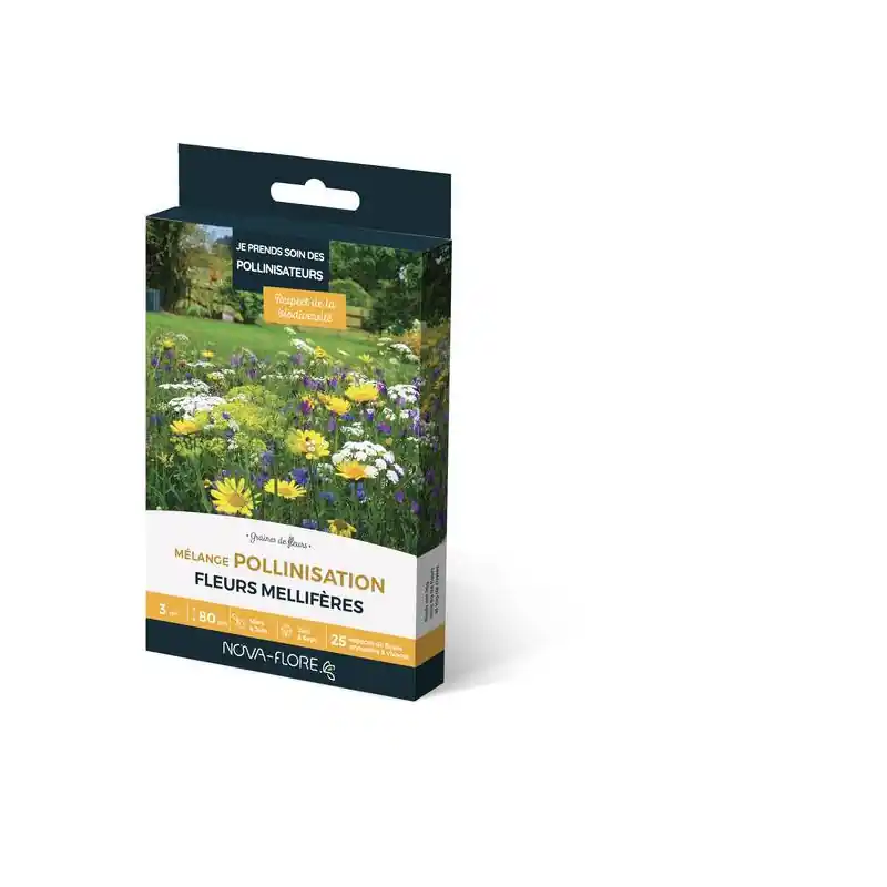 Meilleur Choix Mélange Pollinisation 3m² – Boostez la biodiversité de votre jardin !