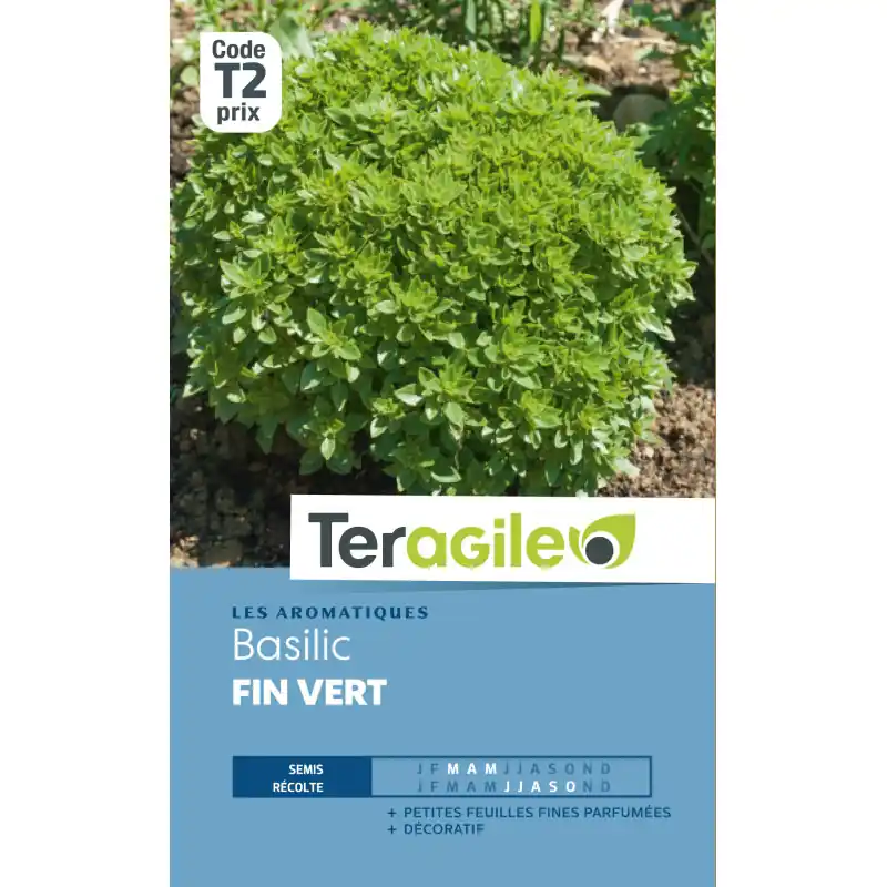 Basilic fin vert 2,00 g Livraison Express
