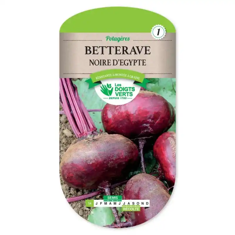 Betterave noire d‘egypte – sachet de graines 7g – les doigts verts Vente Directe