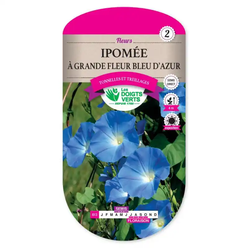 Satisfait Ou Remboursé Ipomee à grande fleur bleu azur – graines 3g – les doigts verts