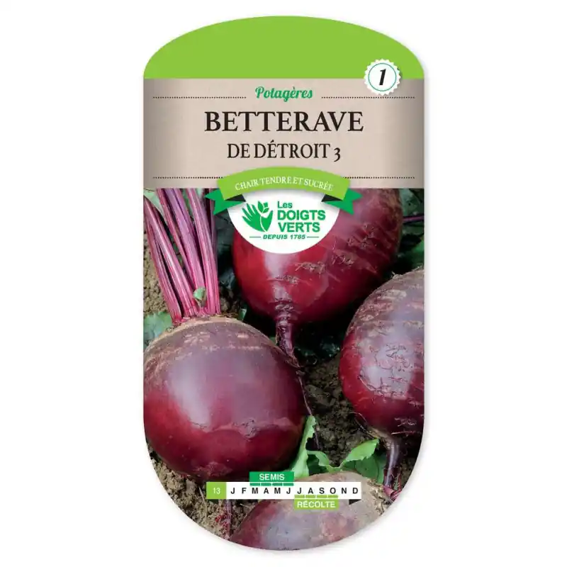 Betterave de detroit 3 – sachet de graines 7g – les doigts verts Authentique