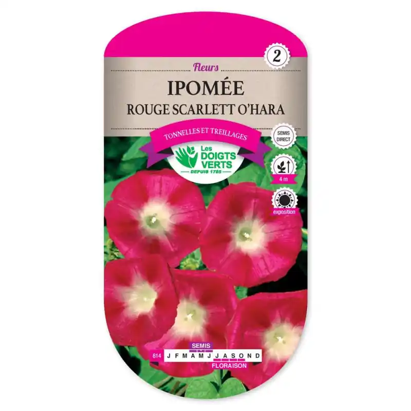Acheter Direct Ipomee scarlet o‘hara rouge – graines 3g – les doigts verts