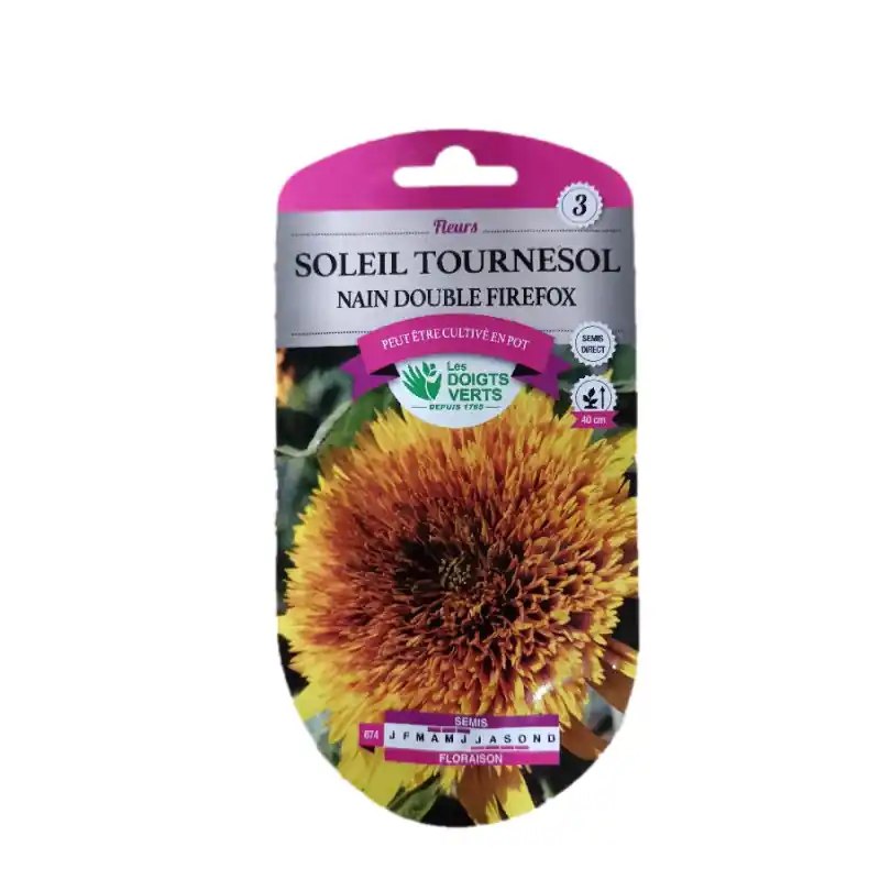 Tournesol nain fire fox – sachet de graines 0,4g – les doigts verts Seulement Aujourd&rsquo;hui