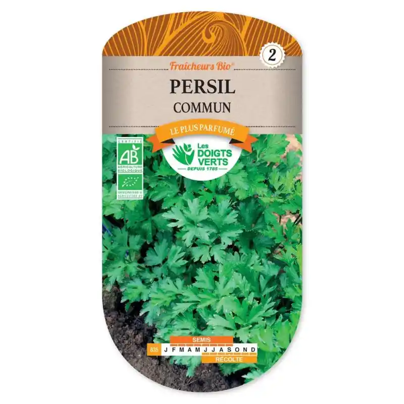 Persil commun 2 bio – sachet de graines 5g – les doigts verts Usine Directe