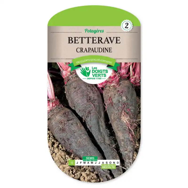 Meilleur Choix Betterave crapaudine – sachet de graines 5g – les doigts verts
