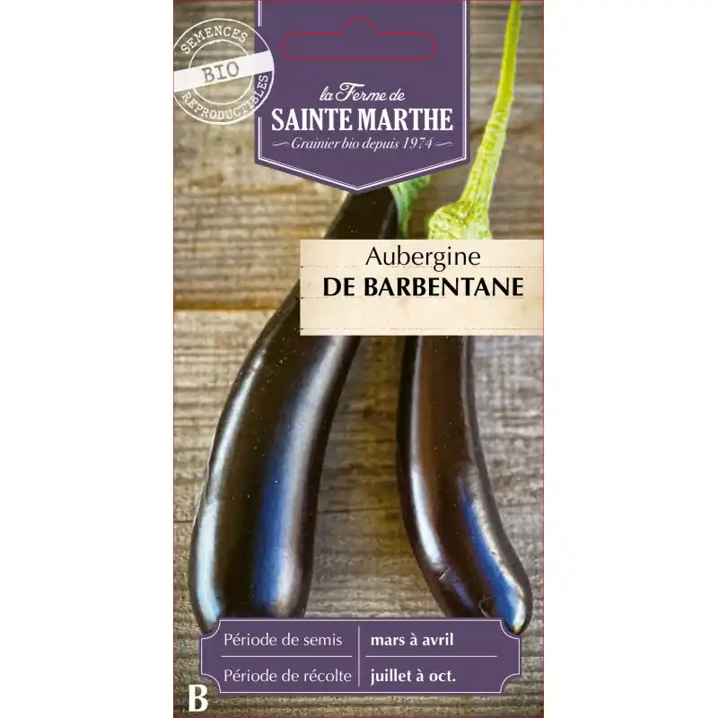 Aubergine bio de barbentane – délicieuse et savoureuse de la ferme sainte marthe – graines à semer Prix Bas