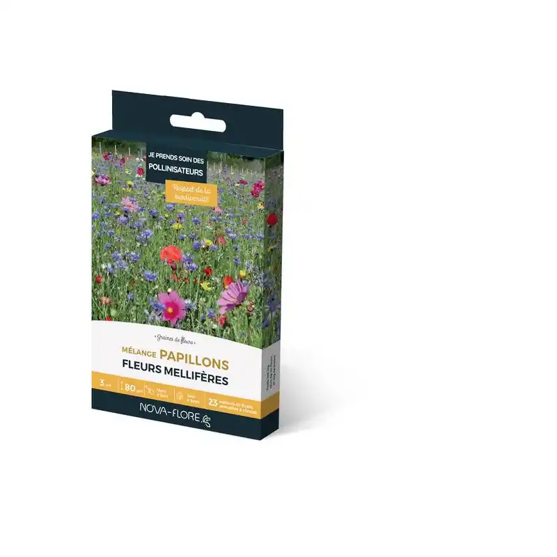 Expédié Aujourd&rsquo;hui Mélange Papillons 3m² – Graines à fleurs Colorées pour attirer les papillons