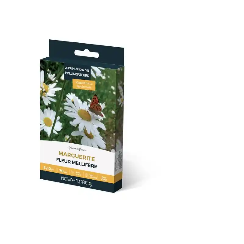 Marque MARGUERITE 3M2 – graines pour le jardin et la pelouse