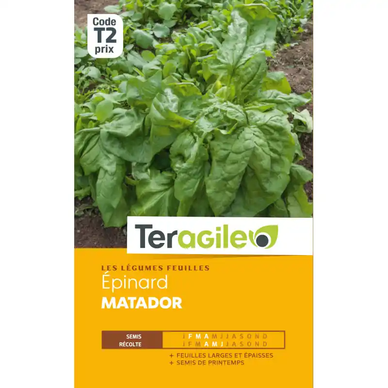 Epinard matador t2 teragile Bon Plan
