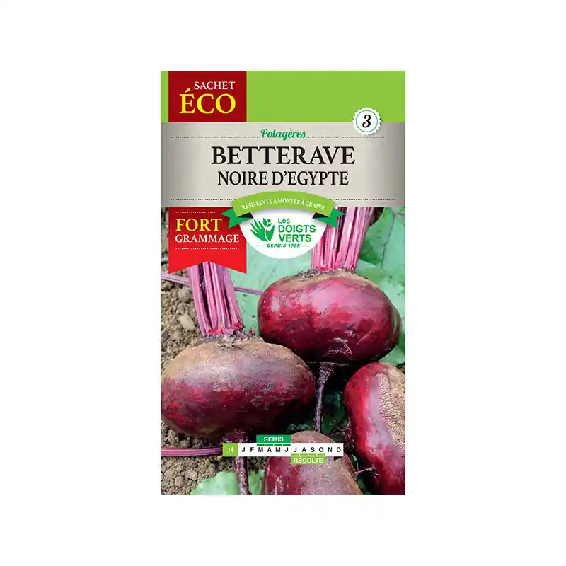 Betterave noire d‘egypte – sachet de graines 20g – les doigts verts Offre Limitée