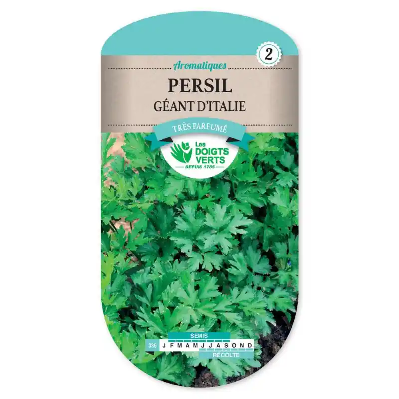 Prix Réduit Persil geant d italie – sachet de graines 7g – les doigts verts
