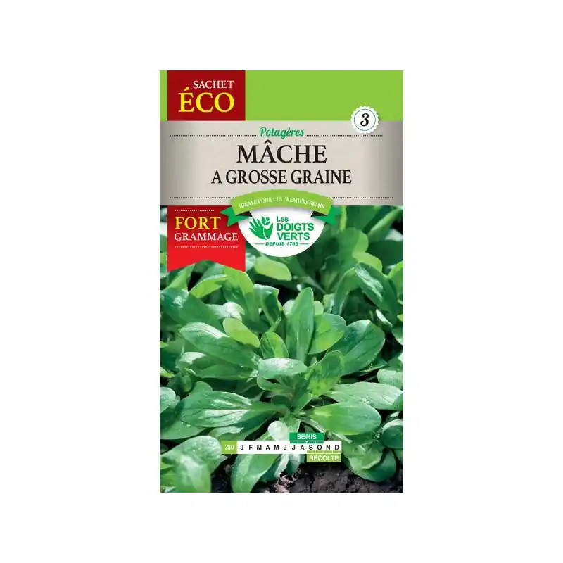 Expédition Rapide Mache a grosse graine – sachet de graines 10g – les doigts verts