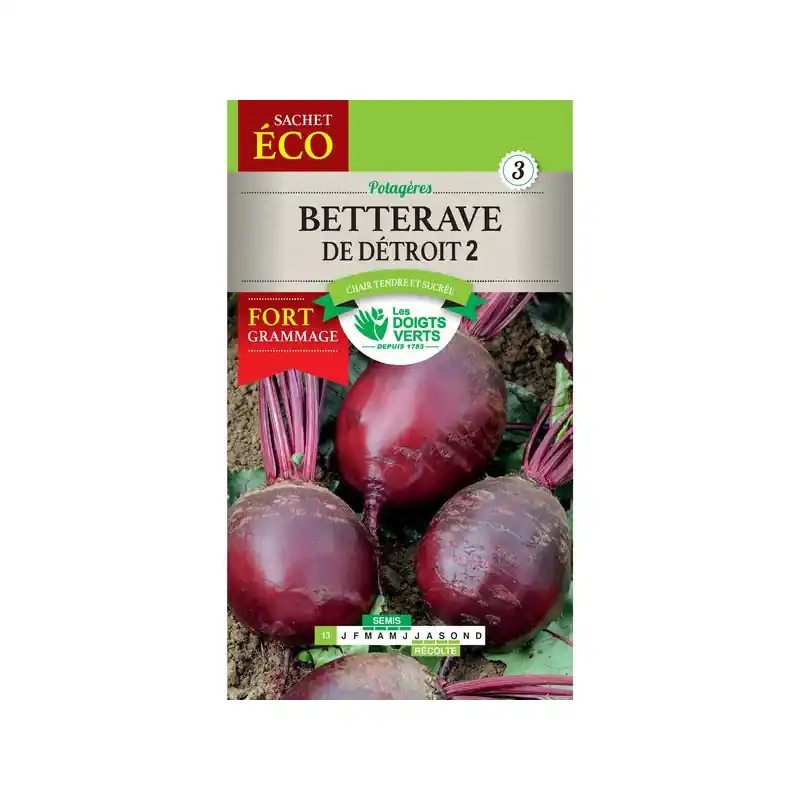Commander Maintenant Betterave de detroit 3 – sachet de graines 20g – les doigts verts