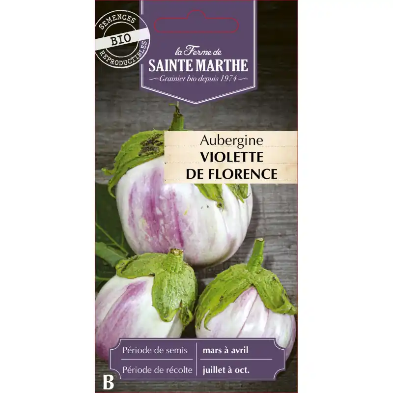 Aubergine violetta bio de firenze – légumes frais sainte marth – graines à semer Quantité Limitée