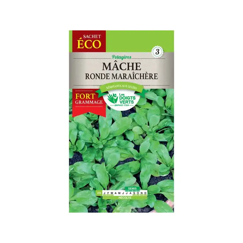 Mache ronde maraichere – sachet de graines 15g – les doigts verts Meilleur Choix