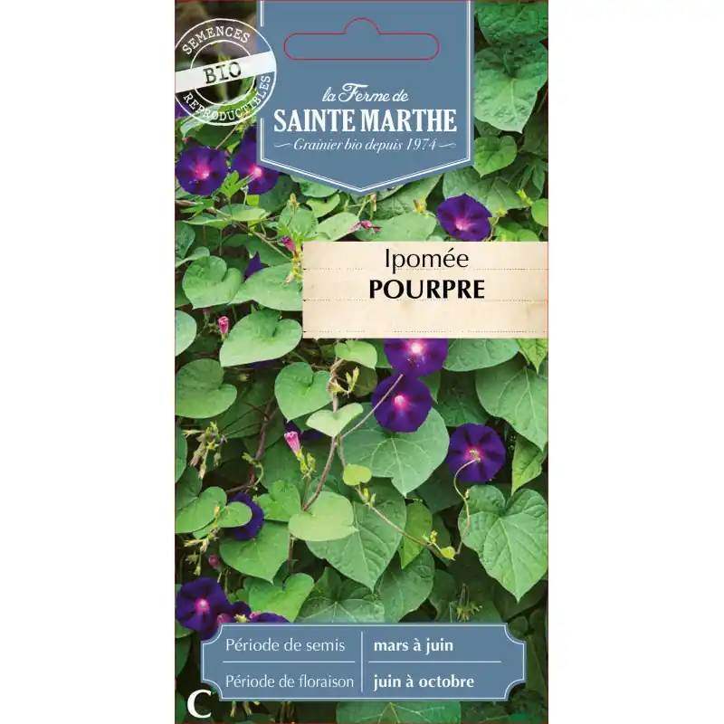 Ipomee pourpre bio de la ferme sainte marthe pour un jardin écoresponsable – graines à semer Achetez Aujourd&rsquo;hui