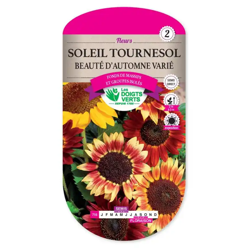 Soleil beaute d‘automne varie – graines 3g – les doigts verts Prix Choc