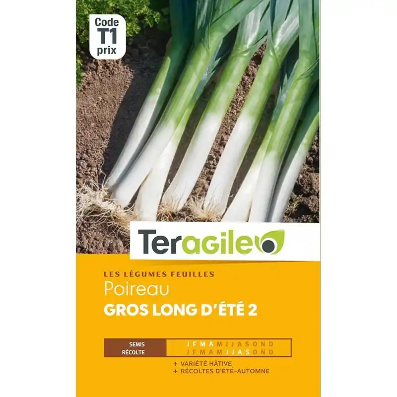 Commander Vite Poireau gros long dete 2 t1 teragile