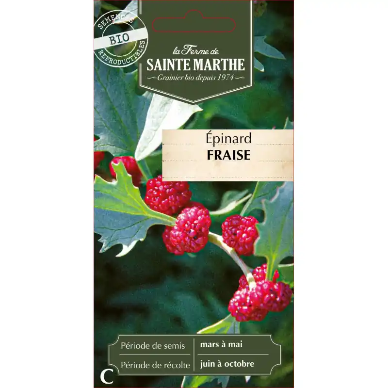 Epinard fraise bio de la ferme sainte marthe, saveur fraîche et naturelle – graines à semer Offre Spéciale