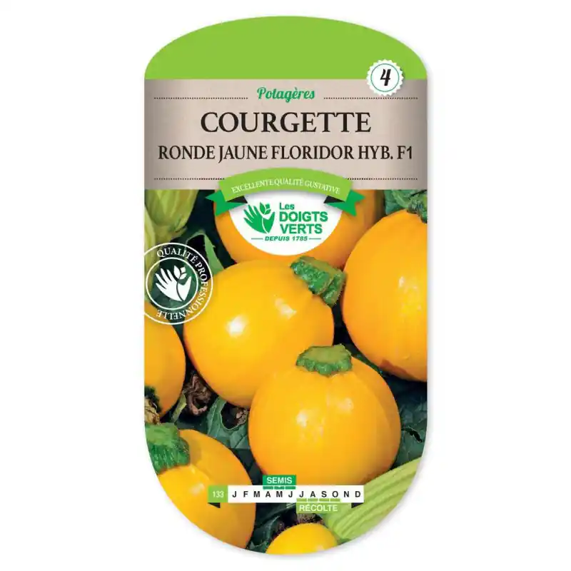 Dernier Modèle Courgette ronde jaune floridor f1 – graines 1g – les doigts verts