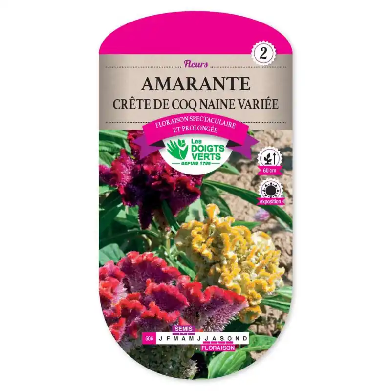 Promotion Amarante crete de coq naine var. – graines 0,7g – les doigts verts