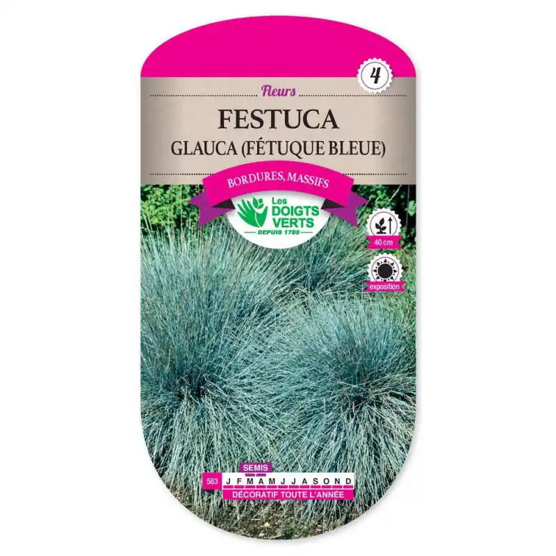 Festuca – sachet de graines 0,3g – les doigts verts Jusqu&rsquo;à Épuisement Des Stocks