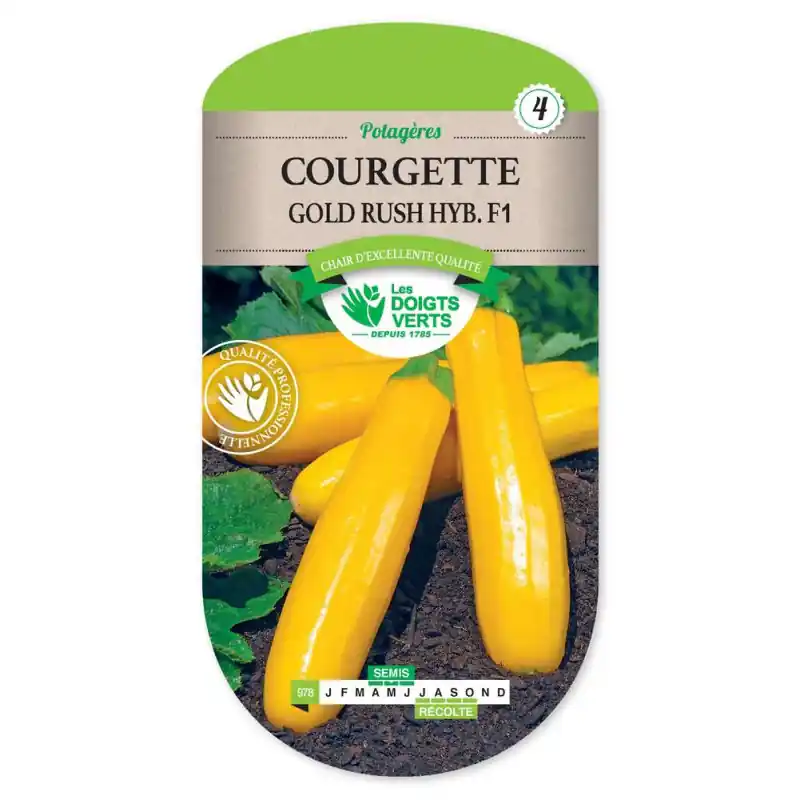 Expédié Aujourd&rsquo;hui Courgette gold rush hyb. f1 – graines 3g – les doigts verts