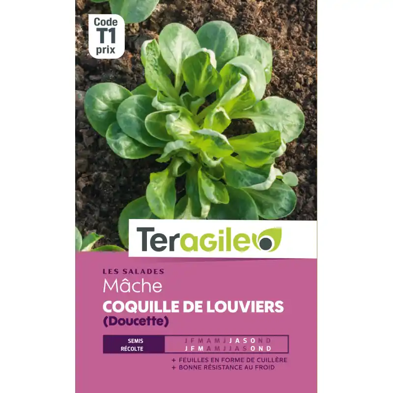 Prix Bas Mache coquille de louviers t1 teragile