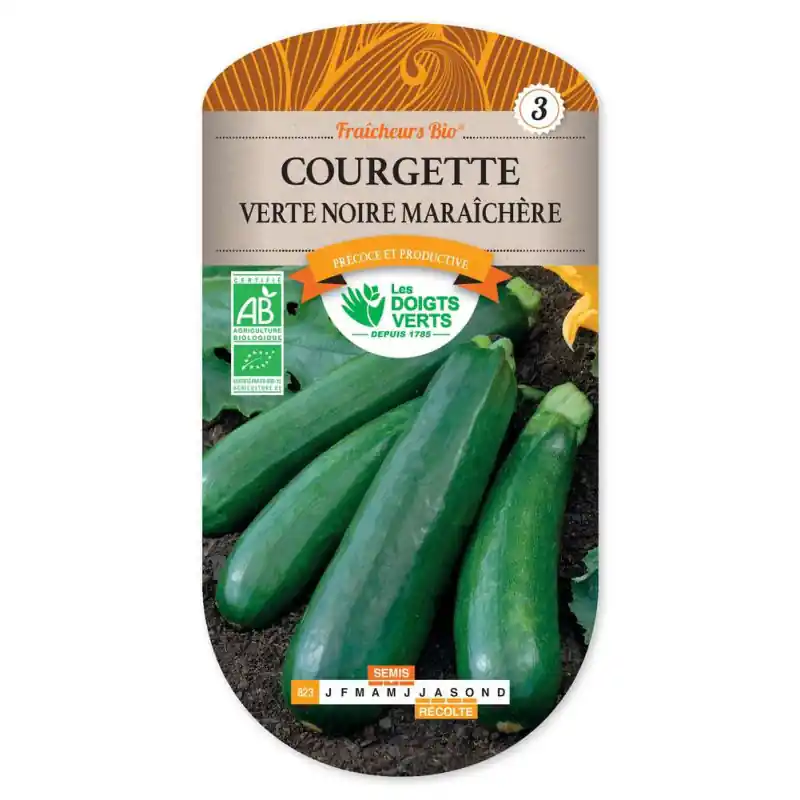 Courg.verte noire maraichère bio – graines 5g – les doigts verts Promotion