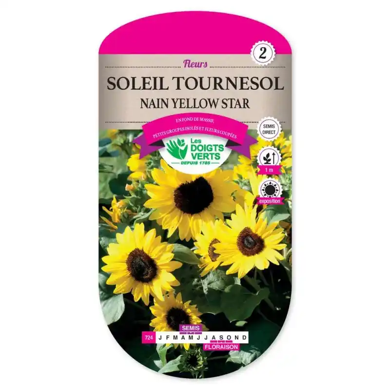 Soleil tournesol nain yellow sta - graines 2g - les doigts verts Expédition Rapide