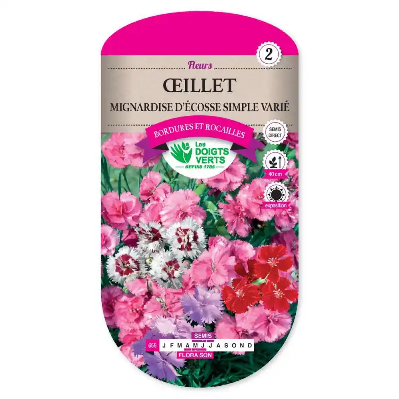 Oeillet mignardise ecosse sple v – graines 1g – les doigts verts Dernière Chance