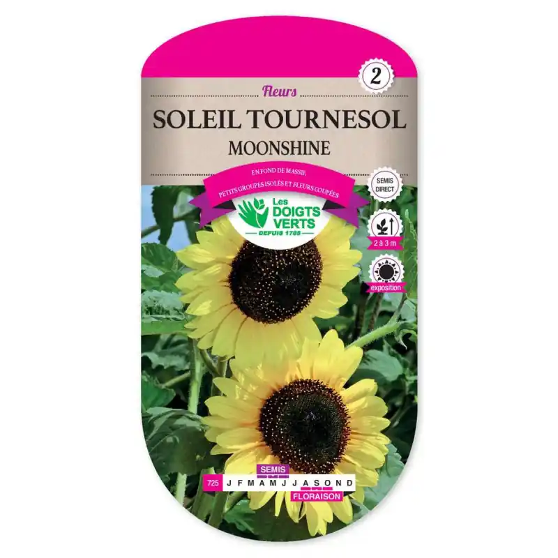 Soleil tournesol moonshine – graines 2g – les doigts verts Commander Vite