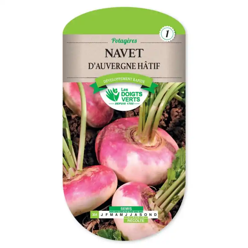 Bon Plan Navet d auvergne hatif – sachet de graines 8g – les doigts verts