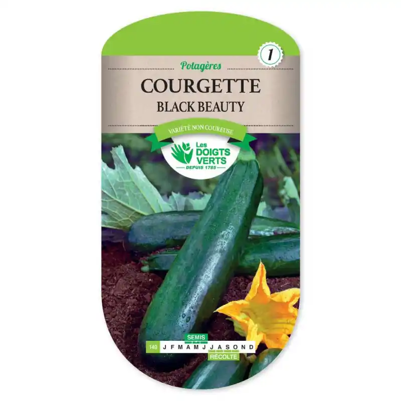 Courgette black beauty – sachet de graines 6g – les doigts verts Dernière Chance
