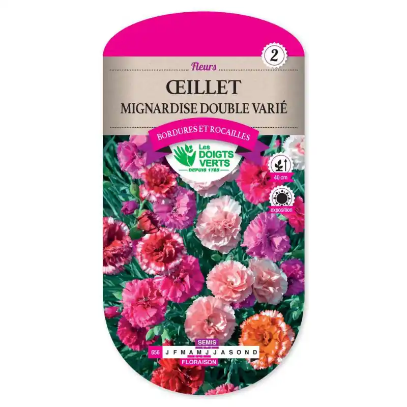 Meilleur Choix Oeillet mignardise double varie – graines 0,5g – les doigts verts