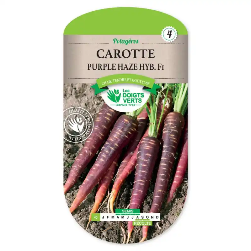 Carotte purple haze – sachet de graines 1g – les doigts verts Offre Exclusive
