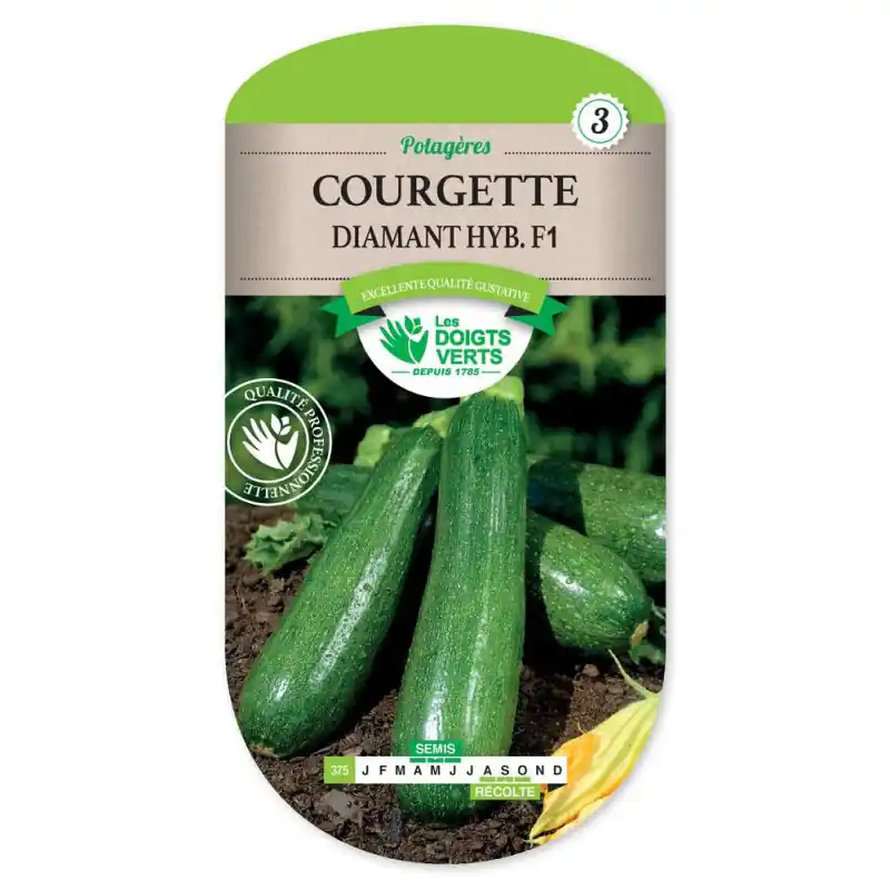 Meilleure Vente Courgette diamant hyb. f1 – sachet de graines 4g – les doigts verts