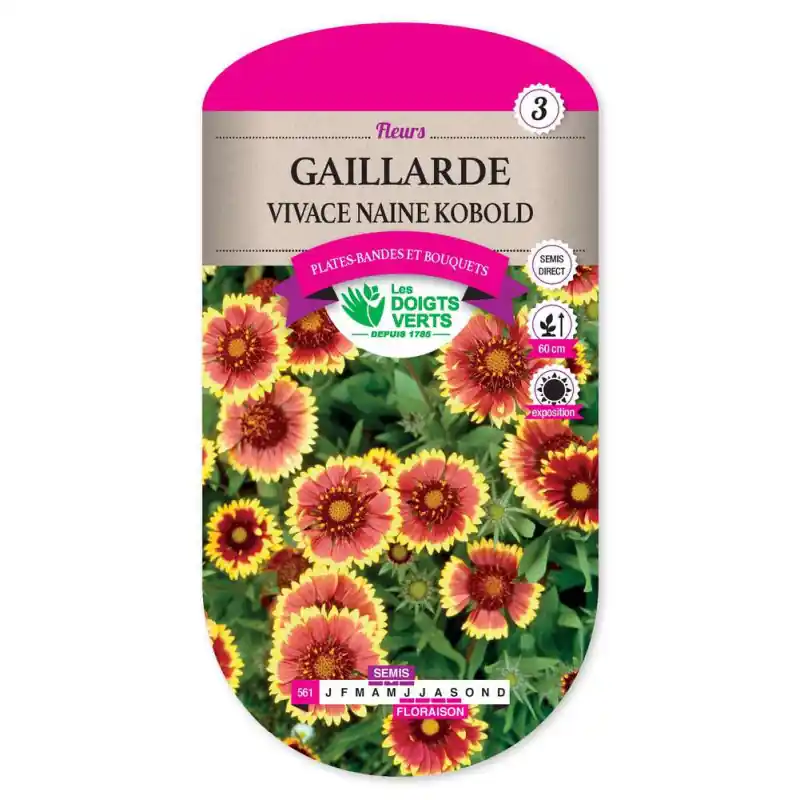 Gaillarde vivace naine kobold – graines 0,5g – les doigts verts Acheter En Ligne
