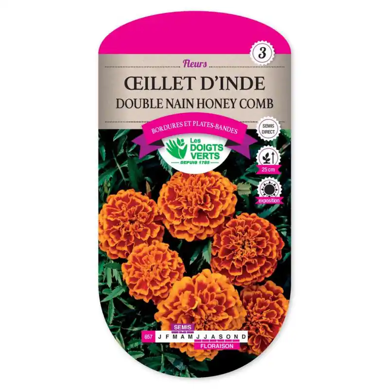 Commander Vite Oeil.inde double nain honey comb – graines 1g – les doigts verts