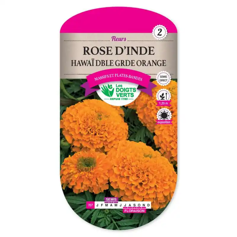 Rose d‘inde dble gde orange – hawaï – graines 1g – les doigts verts Offre Du Jour