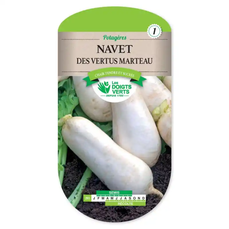Jusqu'à Épuisement Des Stocks Navet demi-long vertus marteau - graines 8g - les doigts verts