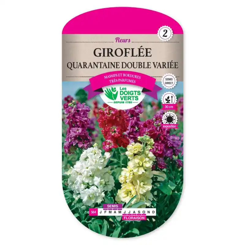 Haute Qualité Giroflee quarantaine dble var. – graines 0,5g – les doigts verts
