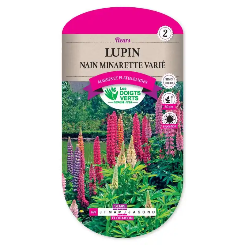 Lupin nain minarette – sachet de graines 3g – les doigts verts Paiement Sécurisé