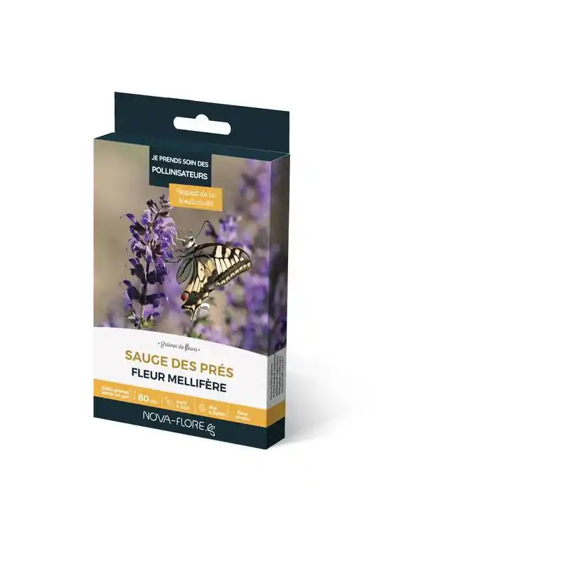 Nouvelle Collection Sauge des Prés 3m² – Plante Aromatique Naturelle pour Jardin et Cuisine