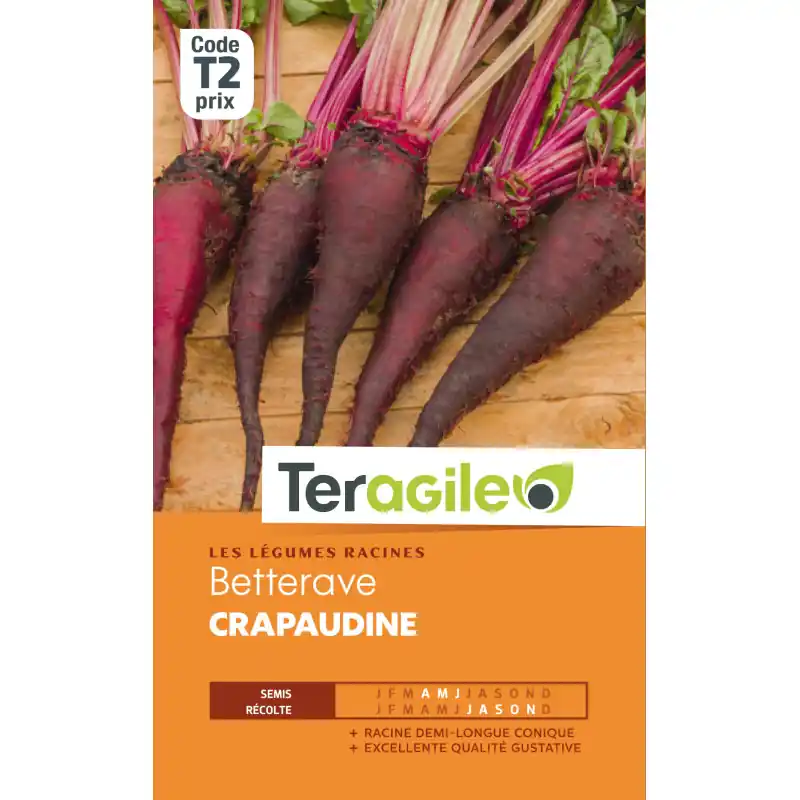 Haute Qualité Betterave potagere crapaudine 4,00 g