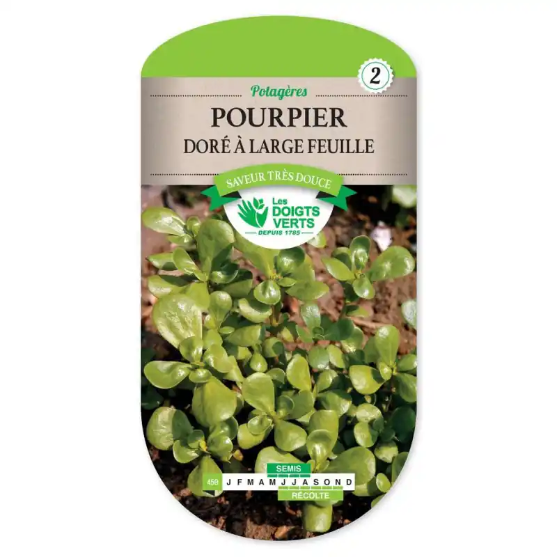 Pourpier dore a large feuille – graines 1g – les doigts verts Super Prix