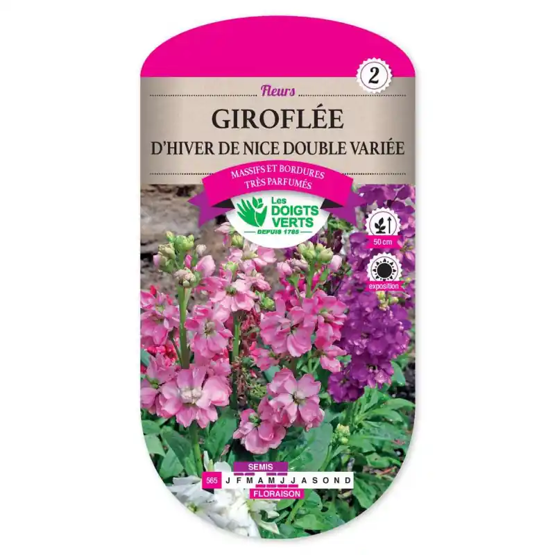 Giroflee hiver nice dble var. – graines 0,5g – les doigts verts Populaire