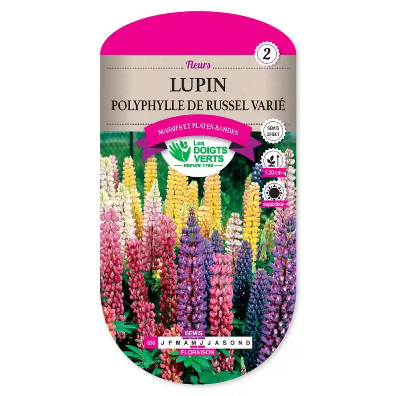 Commande En Gros Lupin polyphylle de russel varie – graines 3g – les doigts verts